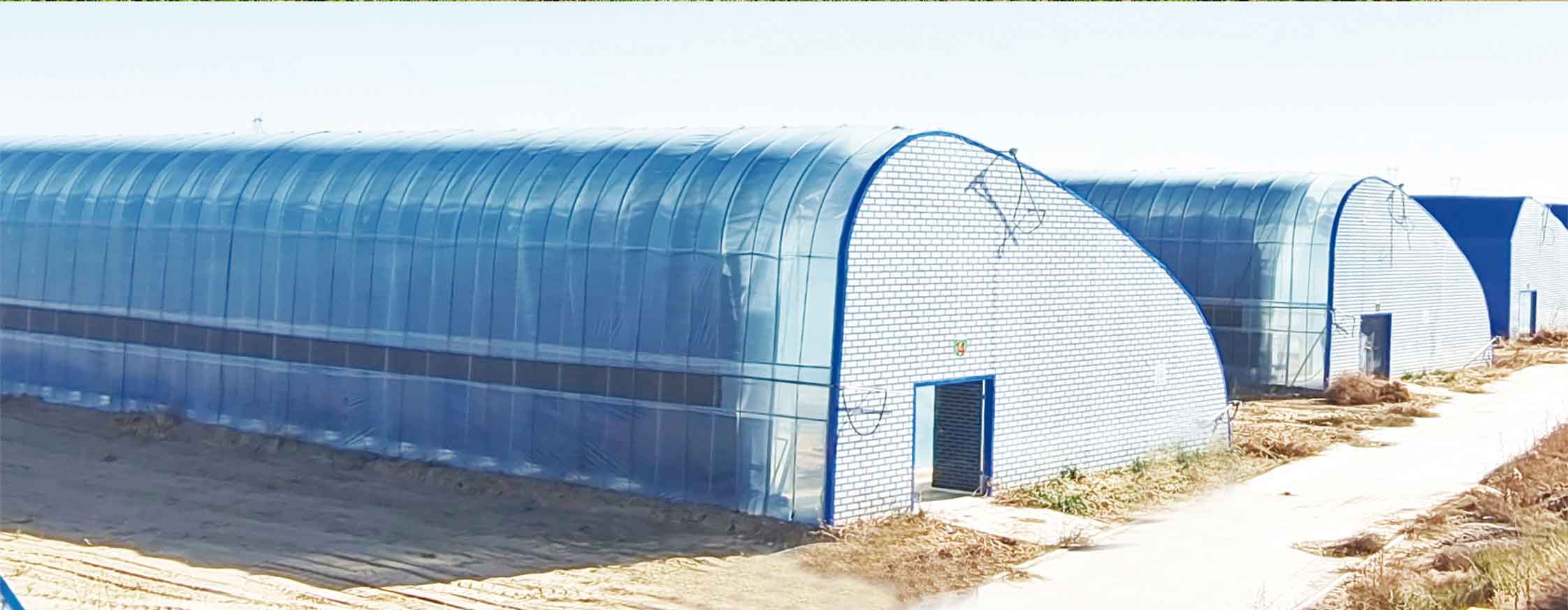 2、冬室夏棚網頁_10.jpg